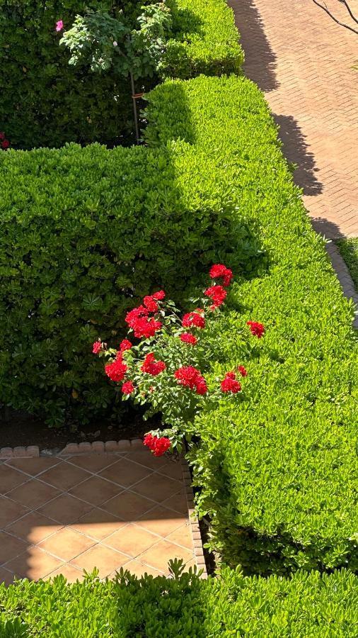 La Rosaleda 17 Apartman Denia Kültér fotó