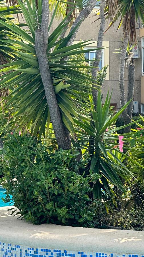 La Rosaleda 17 Apartman Denia Kültér fotó