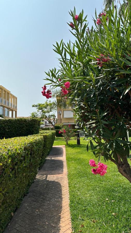 La Rosaleda 17 Apartman Denia Kültér fotó